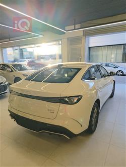 بي واي دي سيل 06 DM-i